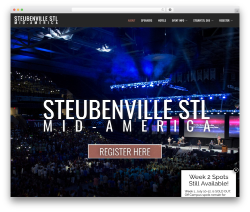 Amax WordPress theme - steubystl.com