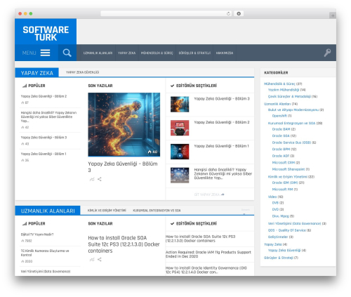 Best WordPress theme Engine - software-turk.com