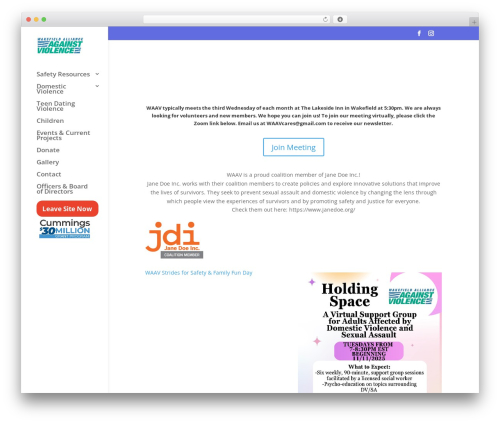 Dts portfolio grid pro WordPress plugin - waavonline.org
