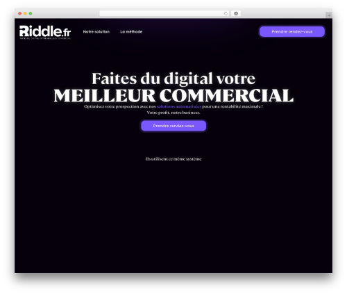 Contentprotector WordPress plugin - riddle.fr