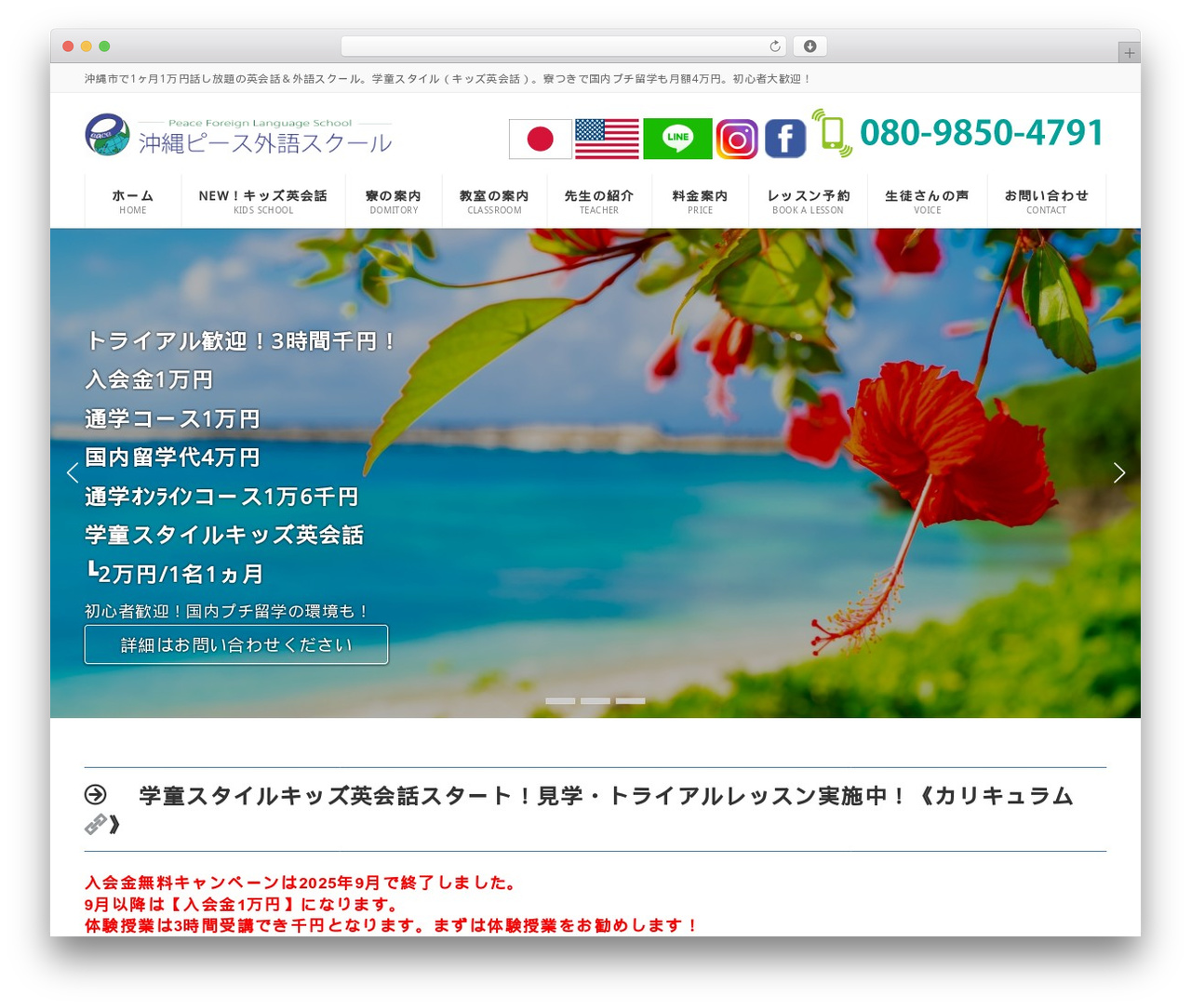 Lightning theme WordPress - peaceokinawa.com
