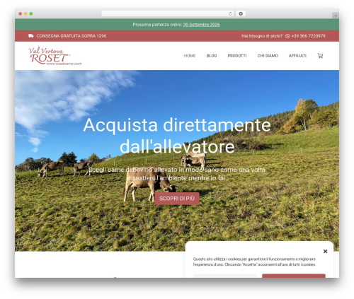 TP Product Description in Loop for Woocommerce (tp-product-description-in-loop-for-woocommerce) free WordPress plugin - rosetcarne.com