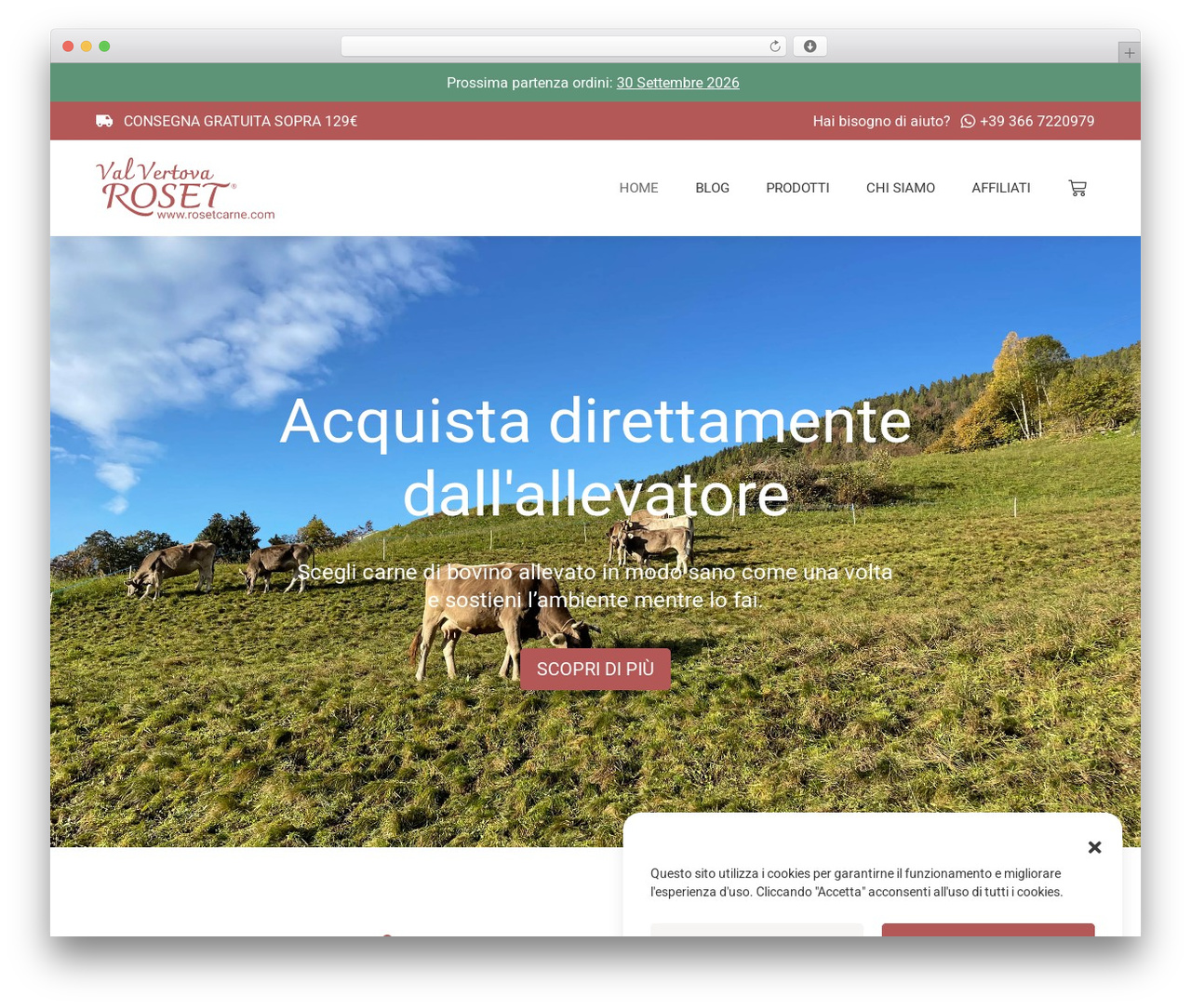 WordPress theme Hello Elementor - rosetcarne.com WordPress theme Hello Elementor - rosetcarne.com