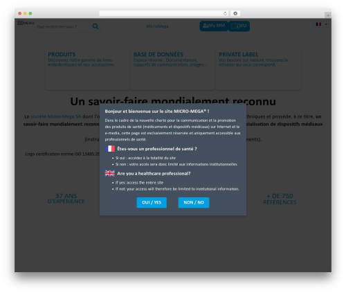 WordPress theme Wordpress Elementor - micro-mega.com