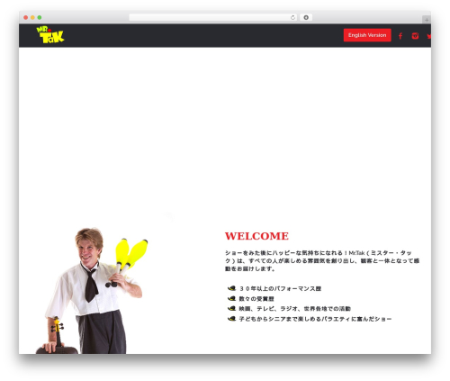 WordPress website theme Cherry Framework - mistertak.com