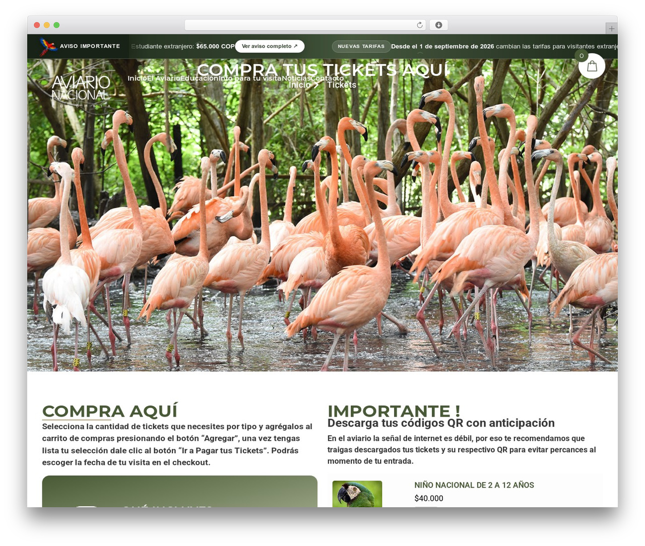 WP theme Hello Elementor - tickets.aviarionacional.co