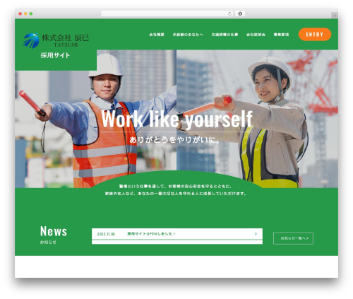 WP theme Security - security-tatsumi.com