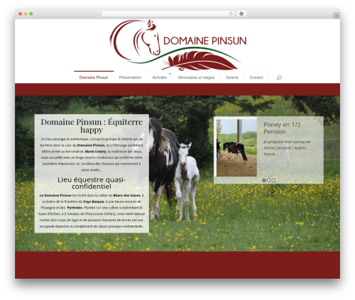 Divi WordPress website theme - domaine-pinsun.com