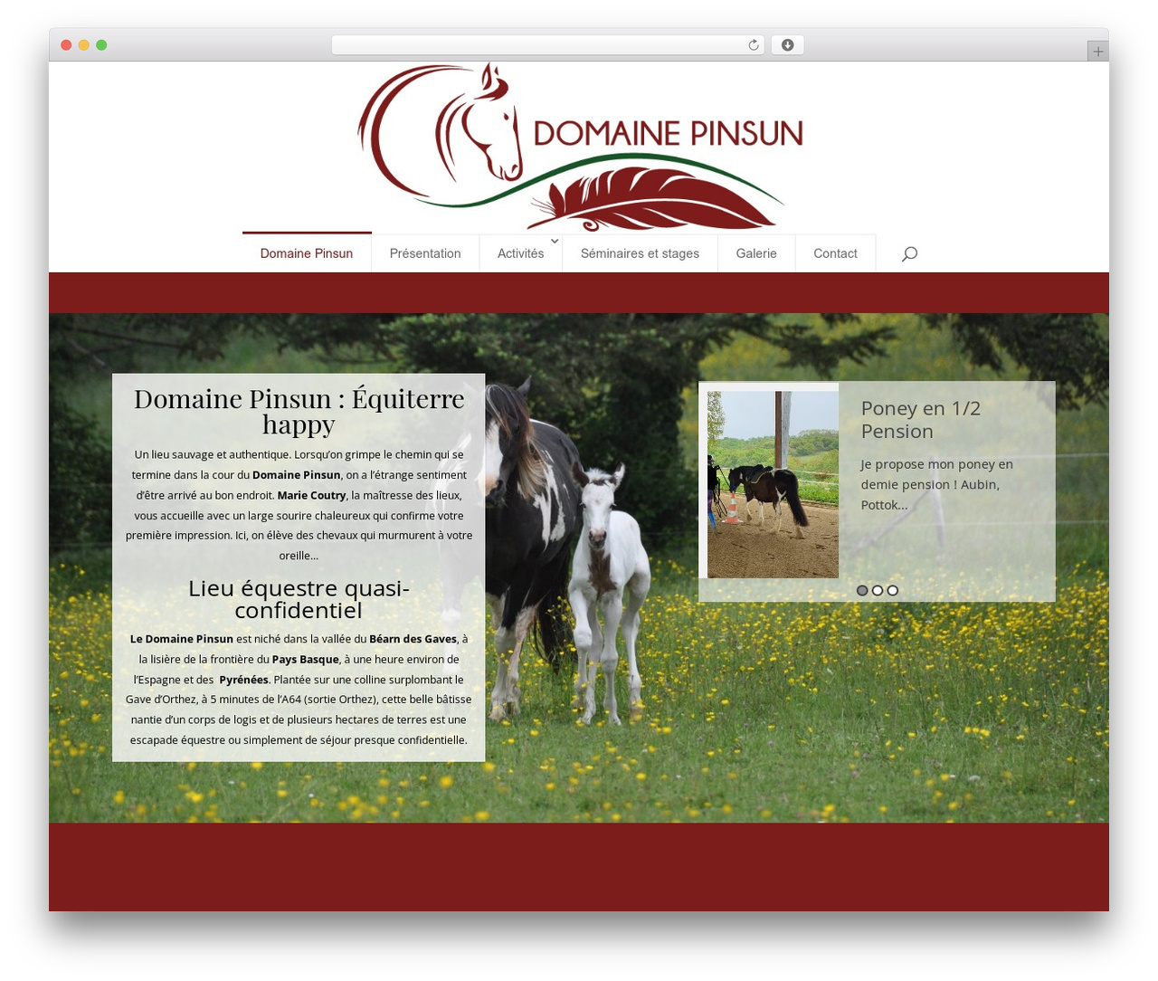 Divi WordPress website theme - domaine-pinsun.com