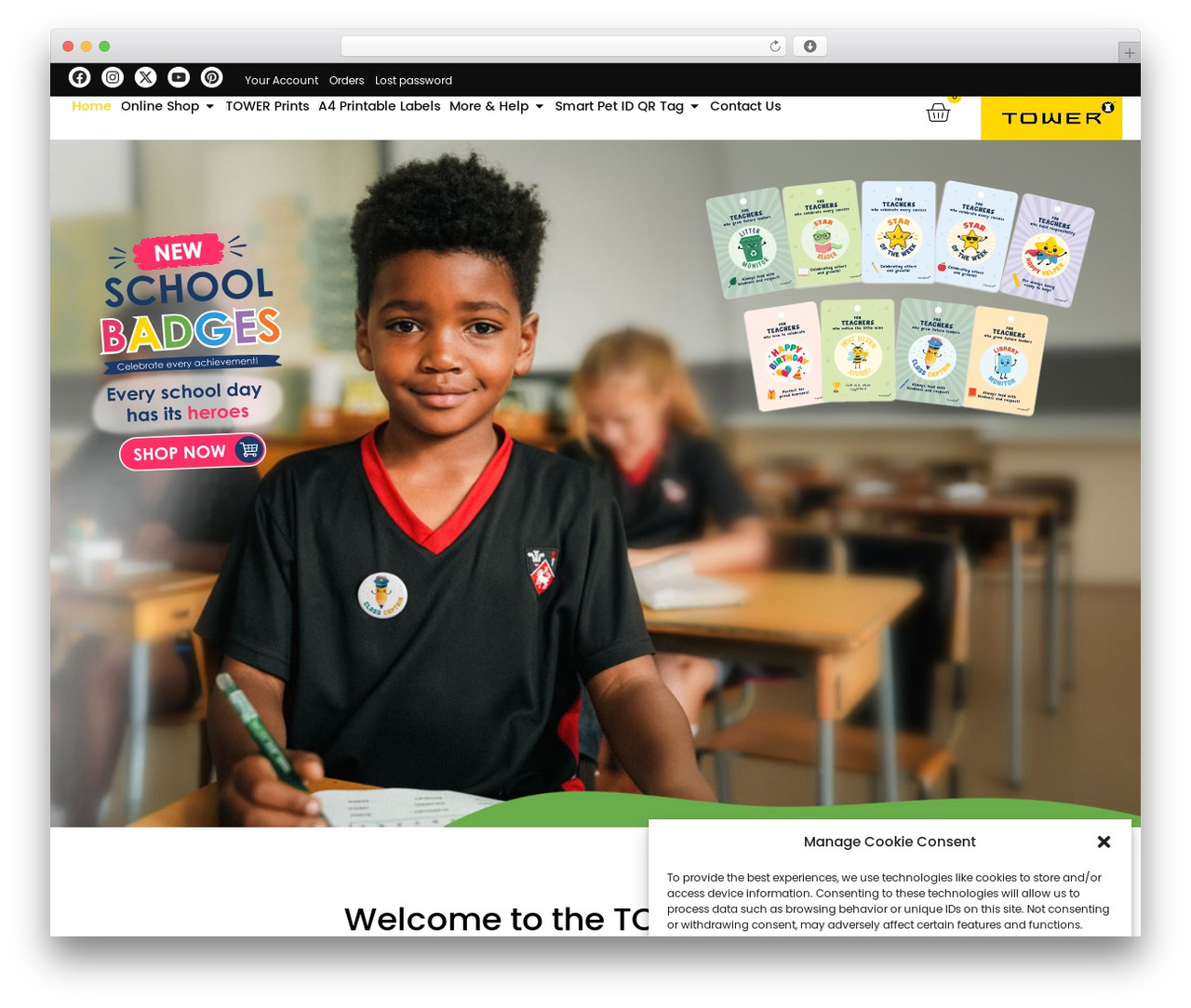 Hello Elementor WordPress theme - towerworld.com