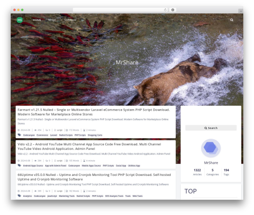 html theme WordPress - mrshare.net