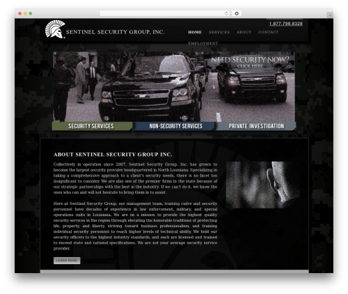 Sentinel theme WordPress - ssg.us