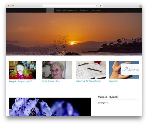 Theme WordPress WP Simple Pro - stillwatermentalhealthaddictionprofessionals.com