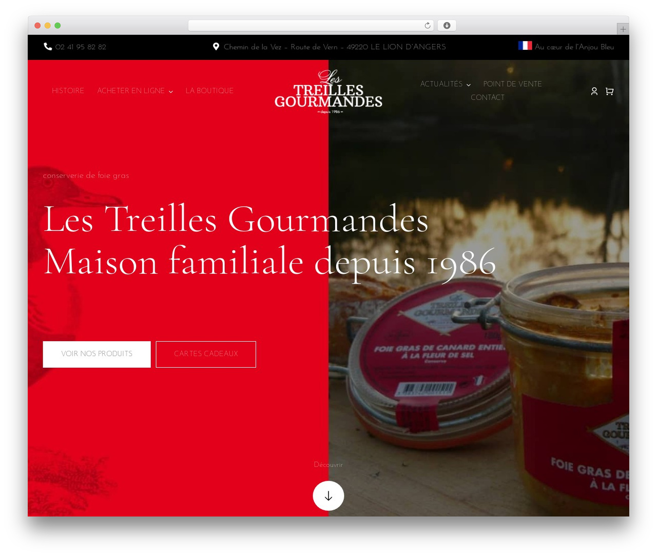 WordPress theme Avada - treillesgourmandes.com