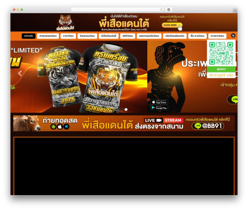 Zionextras WordPress plugin - xn--l3ccls4ds8cr3fny6cwa.com