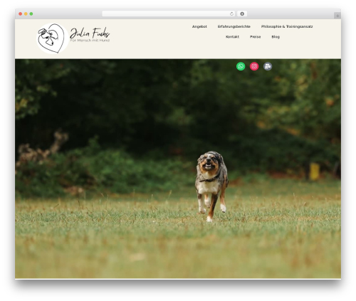 Browser Tab Title Reminder (change-browser-tab-title-when-tab-is-not-active) free WordPress plugin - juliafuchs.ch