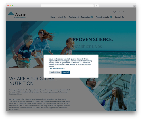 Azur WordPress theme - azur-gn.com