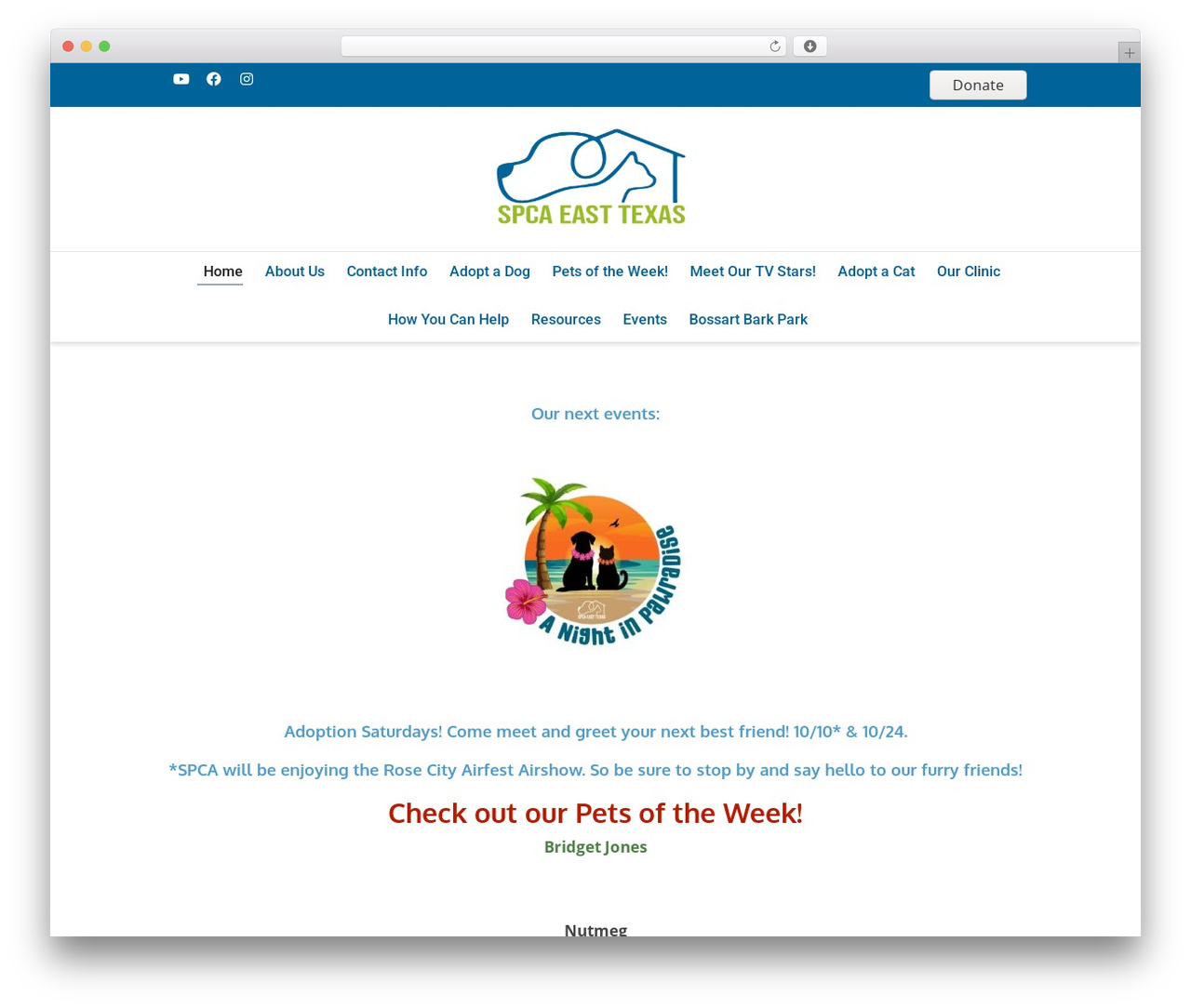 Dante WordPress theme - spcaeasttx.com Dante WordPress theme - spcaeasttx.com