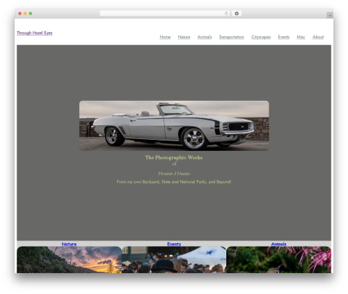 Ruby Ecommerce WordPress shop theme - djdunio.com Ruby Ecommerce WordPress shop theme - djdunio.com