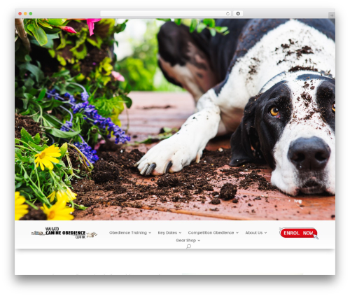 Cf7 grid and styler for divi premium WordPress plugin - dogobedience.co.nz
