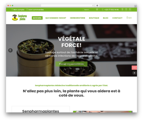 Xc woo whatsapp order WordPress plugin - senpharmaplantes.com