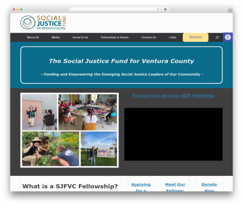 Collision testimonials WordPress plugin - socialjusticefundvc.org