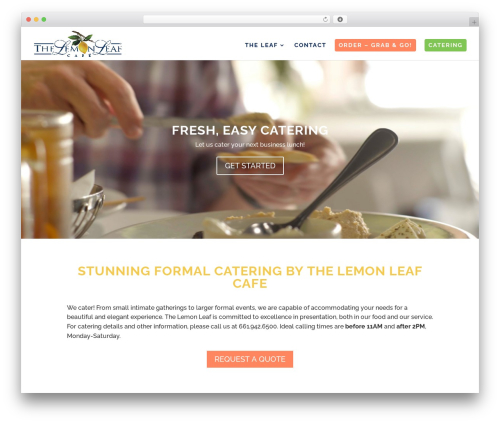 WP theme Divi - lemonleaf.com