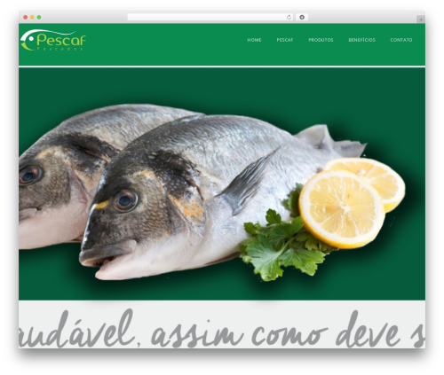 DynamiX WP theme - pescaf.com