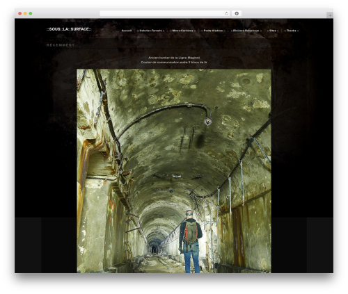 Modularity Lite WordPress theme - souslasurface.fr/site