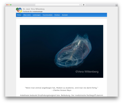 Responsive Pro WP theme - vewitt.de