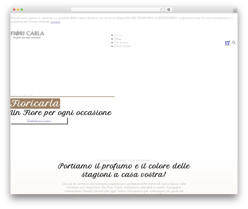 Wp social ninja pro WordPress plugin - fioricarla.com