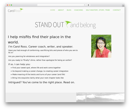 Bt pro WordPress plugin - standoutandbelong.com
