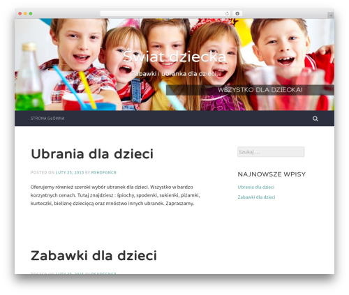 Accent theme WordPress - swiatdziecka.com