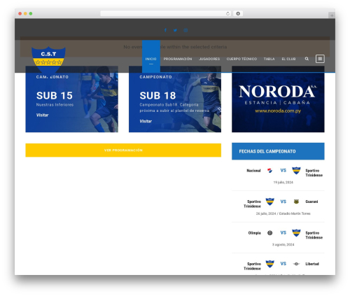 BigSlam WordPress theme - trinidense.com