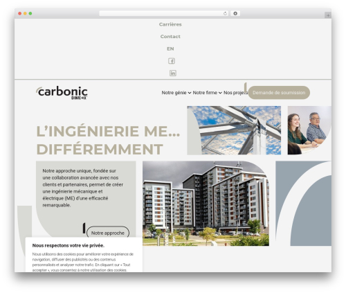 Davinci WordPress theme - carbonic.ca