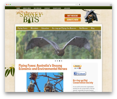 zbPlayer (zbplayer) free WordPress plugin - sydneybats.org.au