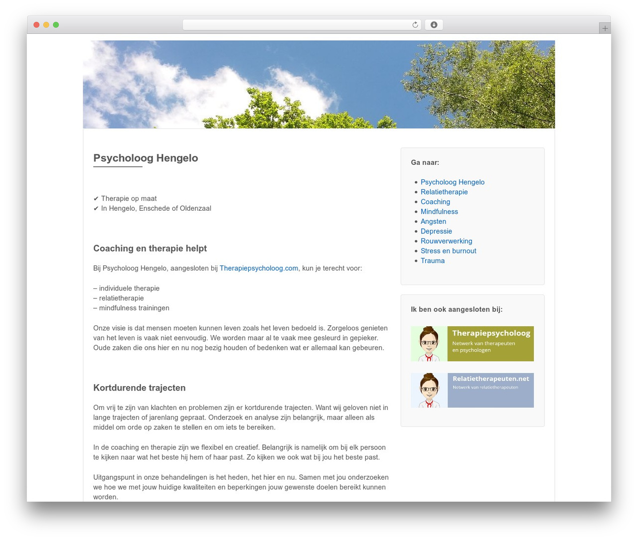 Responsive Pro premium WordPress theme - psycholoog-hengelo.com