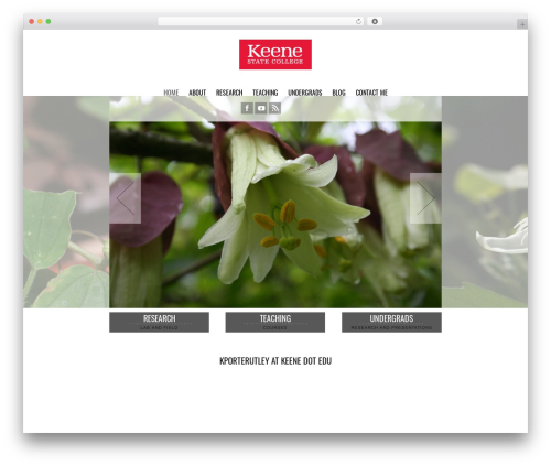 Socha Responsive Theme theme WordPress - kporterutley.com