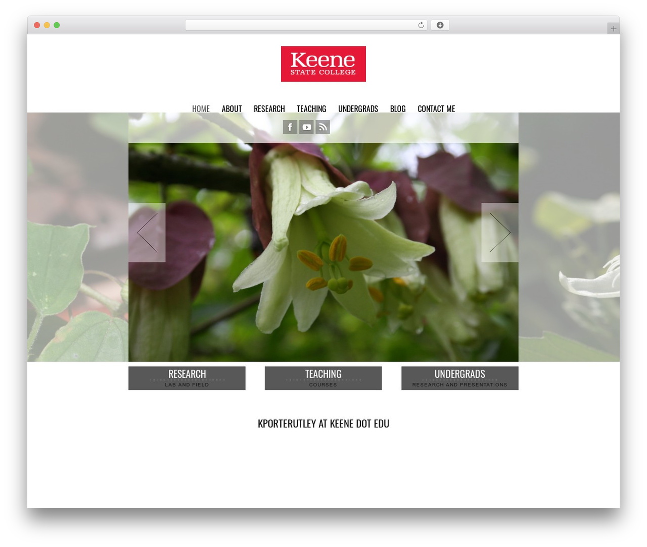 Socha Responsive Theme theme WordPress - kporterutley.com