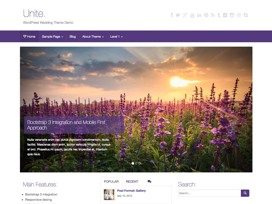 Solo Theme theme WordPress by Geoff