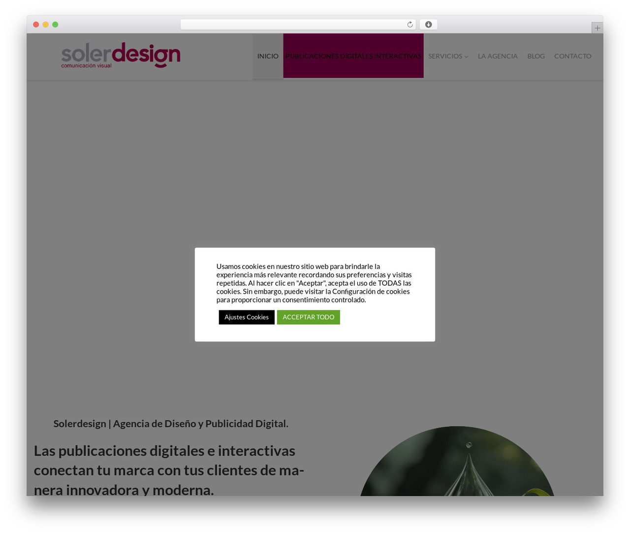 Theme WordPress Cherry Framework - solerdesign.es