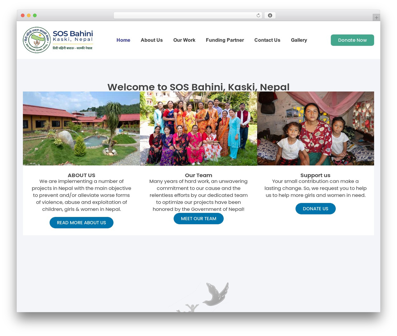 WordPress theme Hello Elementor - sosbahini.org