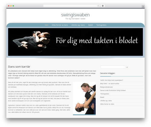 WordPress theme Preference Lite - swingiswaben.se