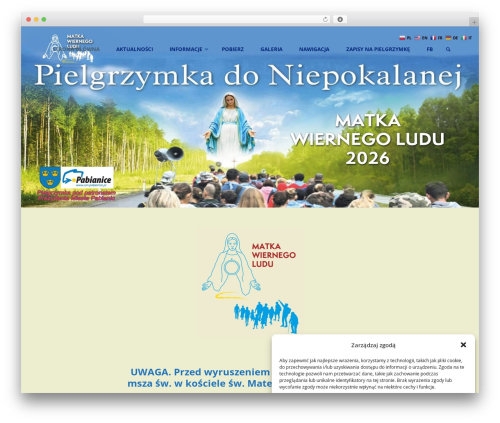 Ai addons for elementor WordPress plugin - pielgrzymkadoniepokalanej.pl