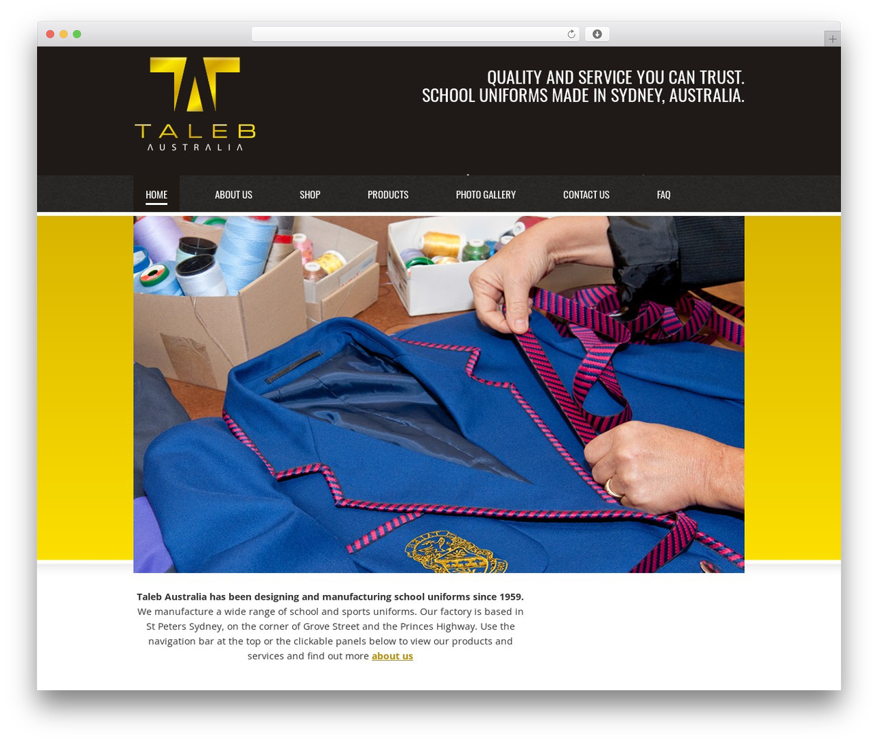 Catalyst WordPress theme - taleb.com.au