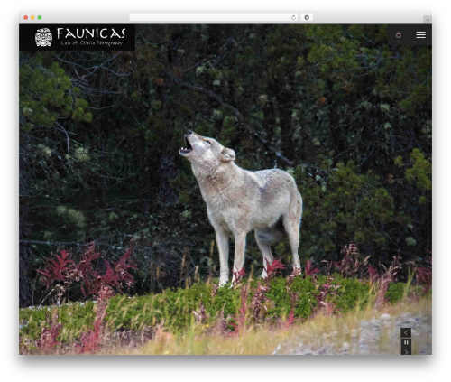 Photon WordPress theme design - faunicas.net