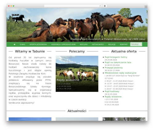 Tabun theme WordPress - tabun.pl