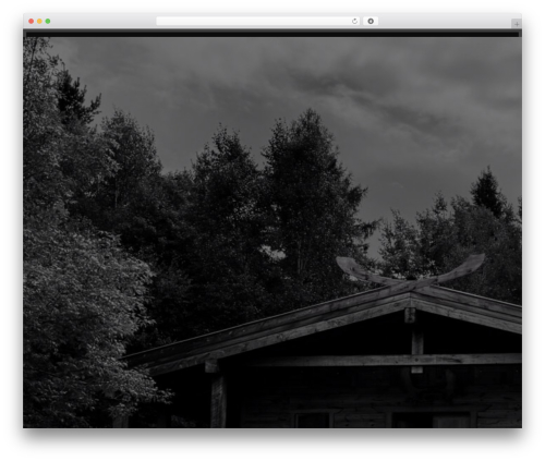 Media focus point WordPress plugin - orphanwisdom.com