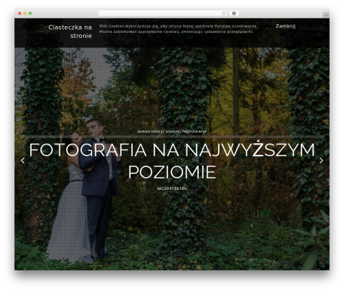 Social network tabs WordPress plugin - siwulec.pl