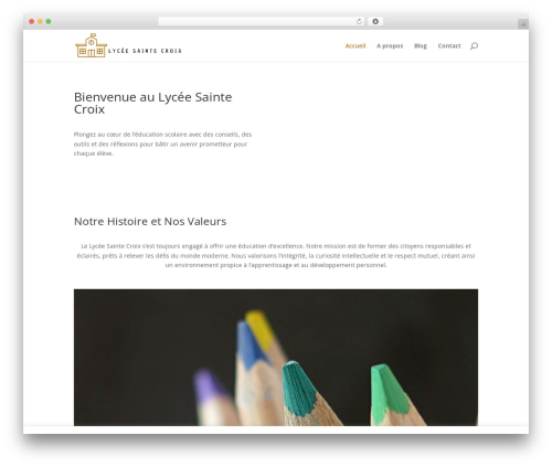 Divi contact form zero spam WordPress plugin - lycee-sainte-croix.com